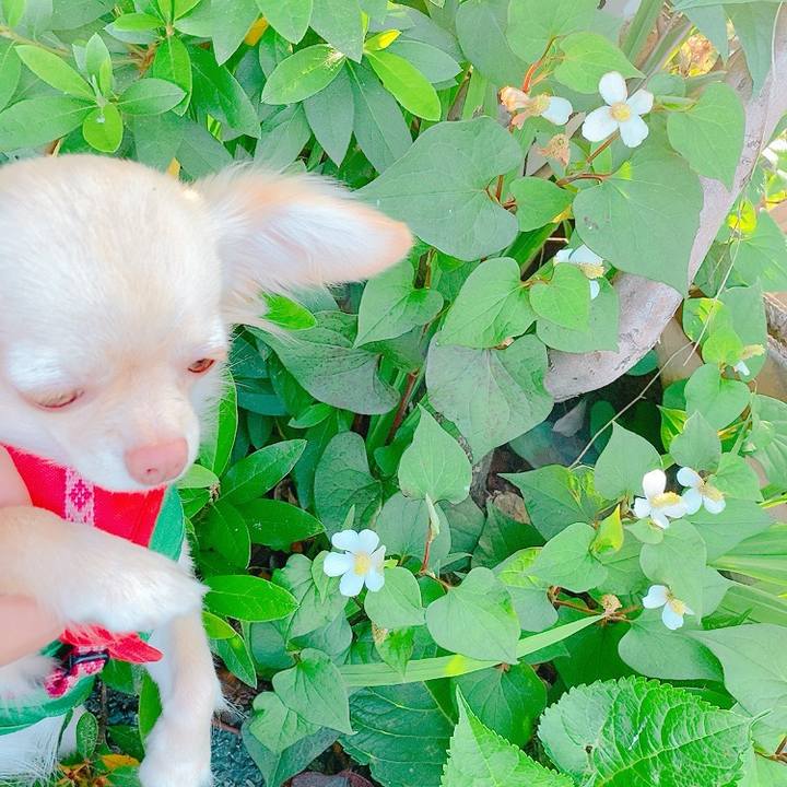 7d7d865f 79f3 4ffb b697 2c8cfff8f65a 1622626102328