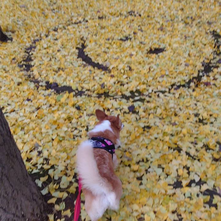 7d7db567 8b6c 494b 857d c230f1208ab6 1762731260866