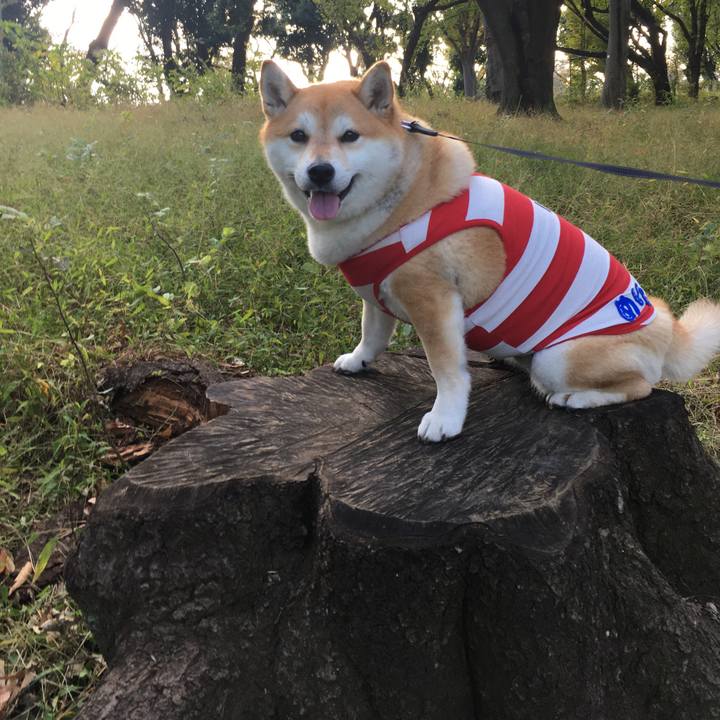 7d7dbcfc a9a1 4945 8352 1e49aafe93aa 1573204788653