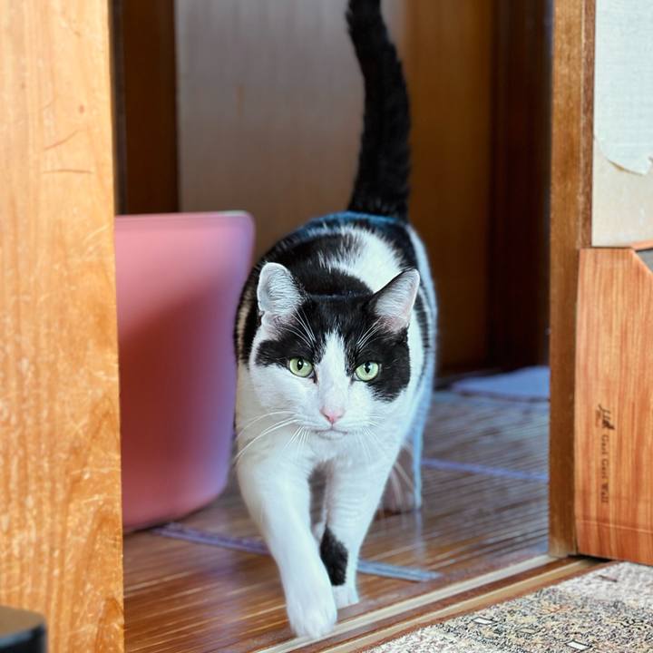 7d7e291e 4826 4e91 8443 72c27f862f0f 1717294156825