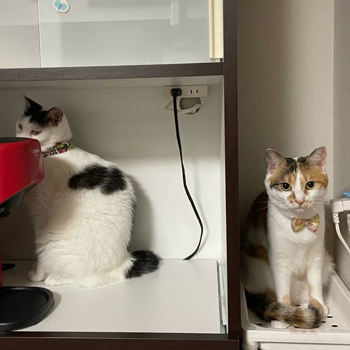 7d7e627a 53d8 4eea 86f2 87a1d7f1c884 1632699198647