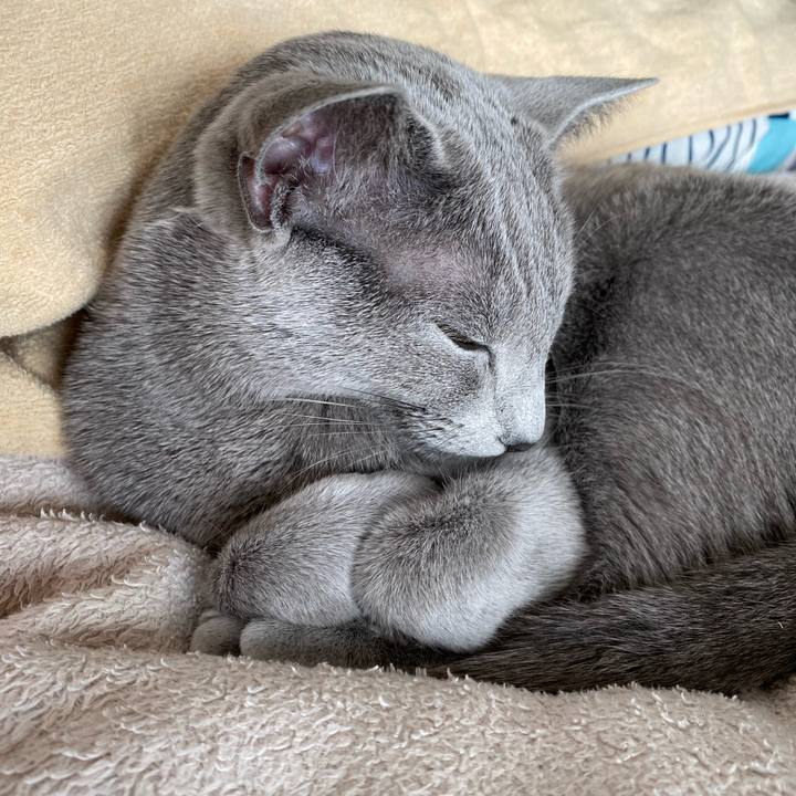 7d7e96bd 2542 42cb b55c cfddc585cc1e 1644019792847