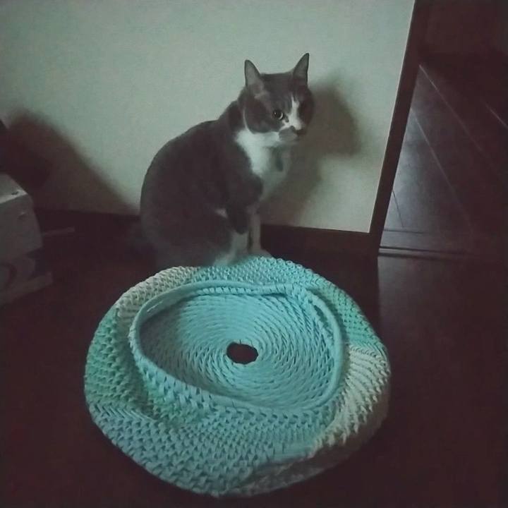 7d7ebd09 09a1 4861 b116 94345b85b9bd 1648676872230