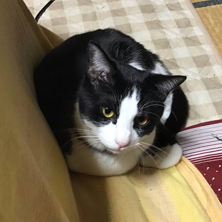 7d7ecca6 4ac4 4846 93c3 bc058e75e1b8 1671454034808