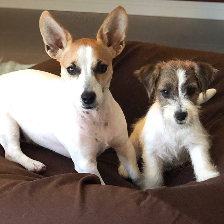 7d7f271c b9c1 4ba9 8cd5 e611f5b2b3fa 1574247895922