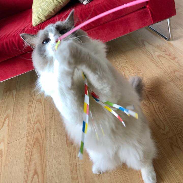 7d7f2b4c f64b 418d b9f5 7e4acb42fe1b 1592610721668