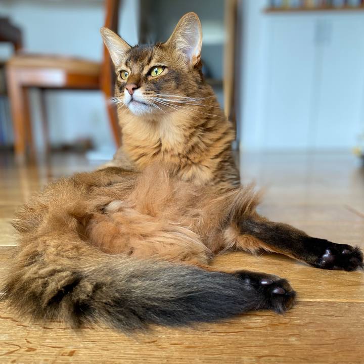 7d7f3aaf 5fa1 4355 95c6 1e1b10a234b8 1662612750429