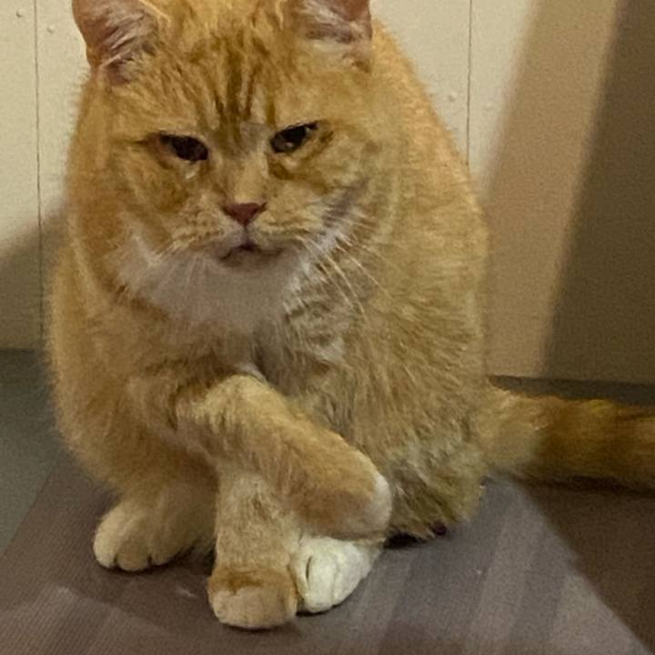 7d7f3b0e ee14 436d 8e98 01d3afabbc4b 1643295626851