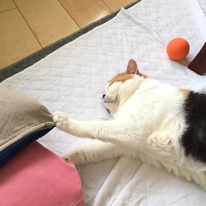 7d7f4818 6245 47ab 888a 2ae880fdede3 1526907852873