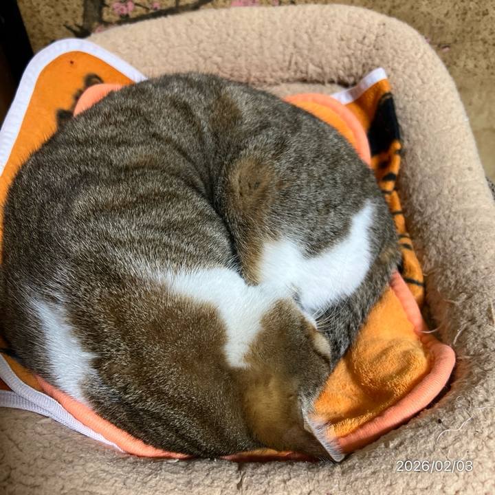 7d7f613d 5d94 4fb7 95d4 4de6a077ea75 1770070003492