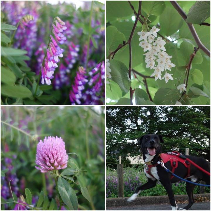 7d7f7d42 55a9 472e ab8c 610975479355 1589193547745