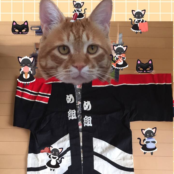 7d7f9099 52c4 4099 b805 1849e1086347 1565518350997