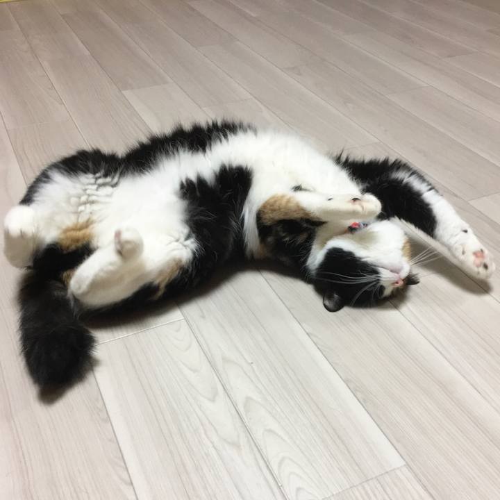 7d7fae69 60a1 4aed 9db4 8c793c0e3094 1518968716283