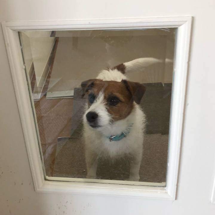 7d80289c 6590 47da aadc e3d6621bfc81 1520762603370