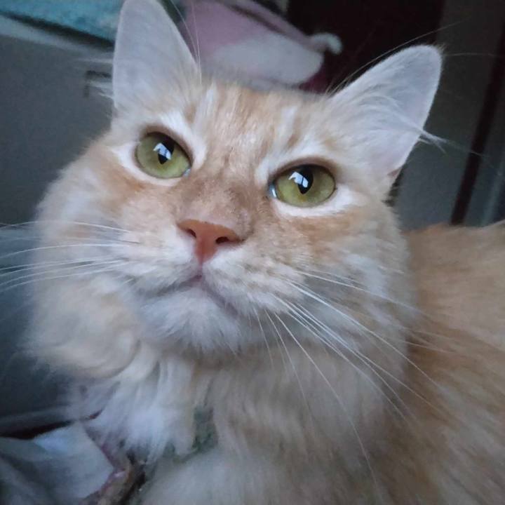 7d804993 dc0e 4c0f 909a 33c3f74b7807 1693991420880