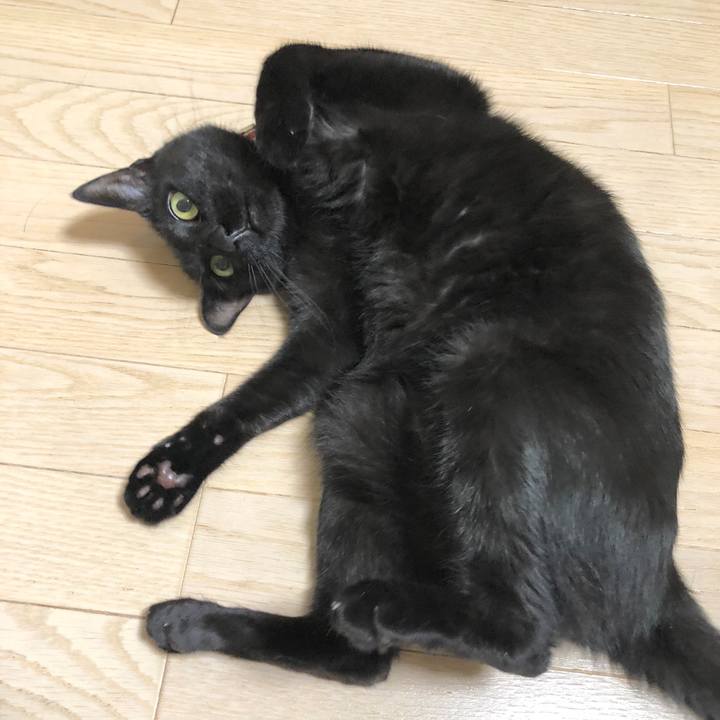 7d805a25 2a58 4047 b006 23fdf16f0c42 1600770393295