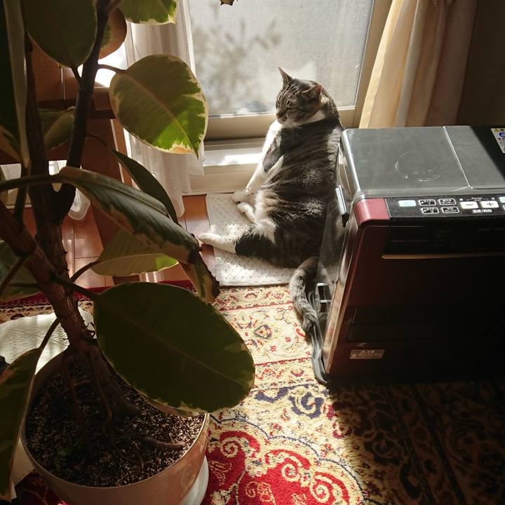 7d806f73 94a8 456e 9047 16c7b332657f 1554765693854