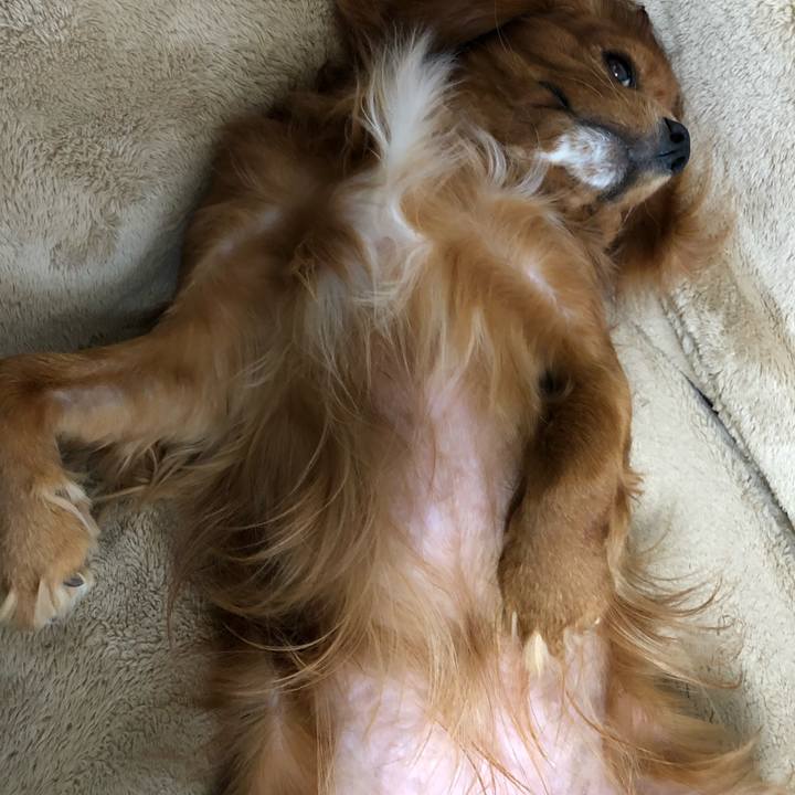 7d807d44 83c6 4b09 b1a5 3119b803b798 1552189746748