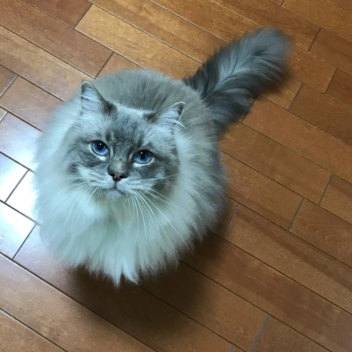 7d809f20 eed6 4cf1 a45c 55752b1b03fc 1530016196329