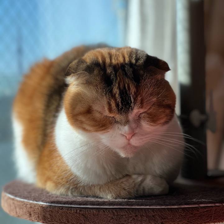 7d80bb8f dfb8 4322 a080 de1c87dc0bca 1703293765283