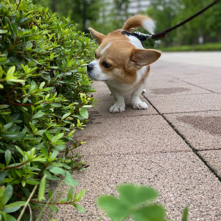 7d80c07f 24f0 4001 a6d8 953bd60ea49f 1594191736592