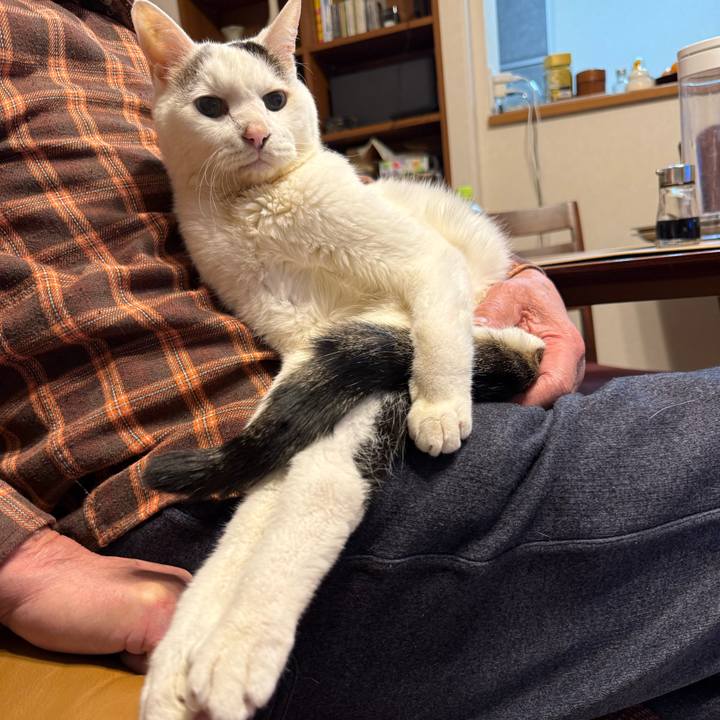 7d80c39e 42ab 42e0 a459 bd0235dc5c54 1765801173776