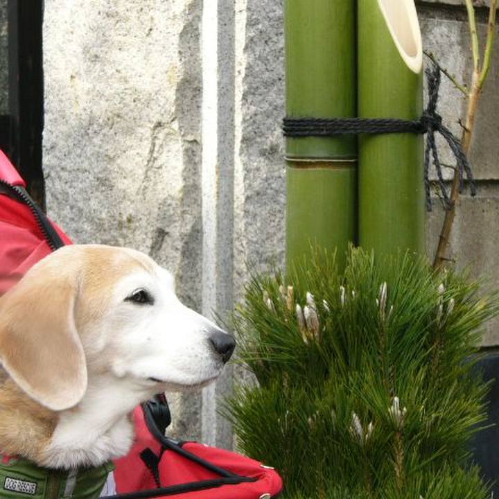 7d80e4e2 5a2c 44e4 bed3 7f6fb671335b 1675733191186