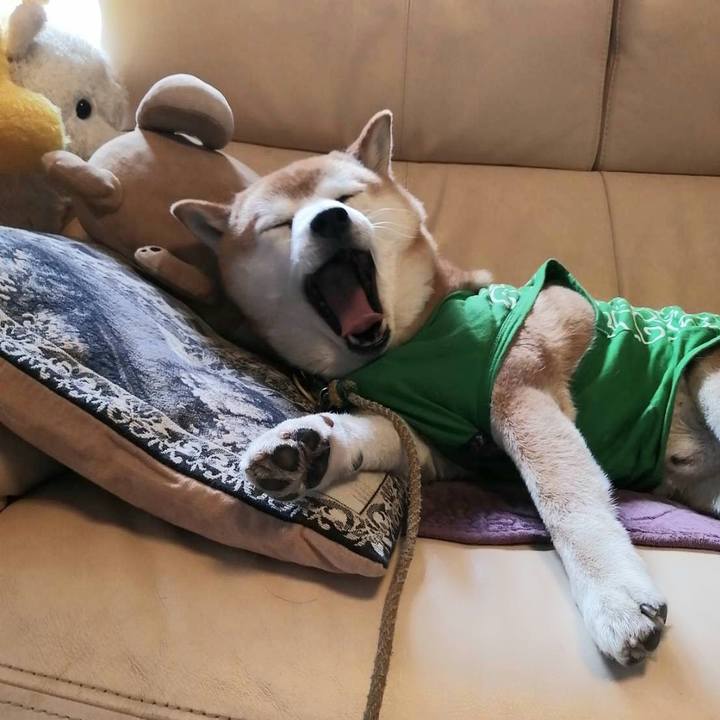 7d80e8a7 6f98 472e bbb5 b36e098c305b 1585013301144