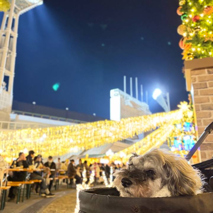 7d80f665 ae7e 4886 9ec9 65993ffe983c 1765103586412