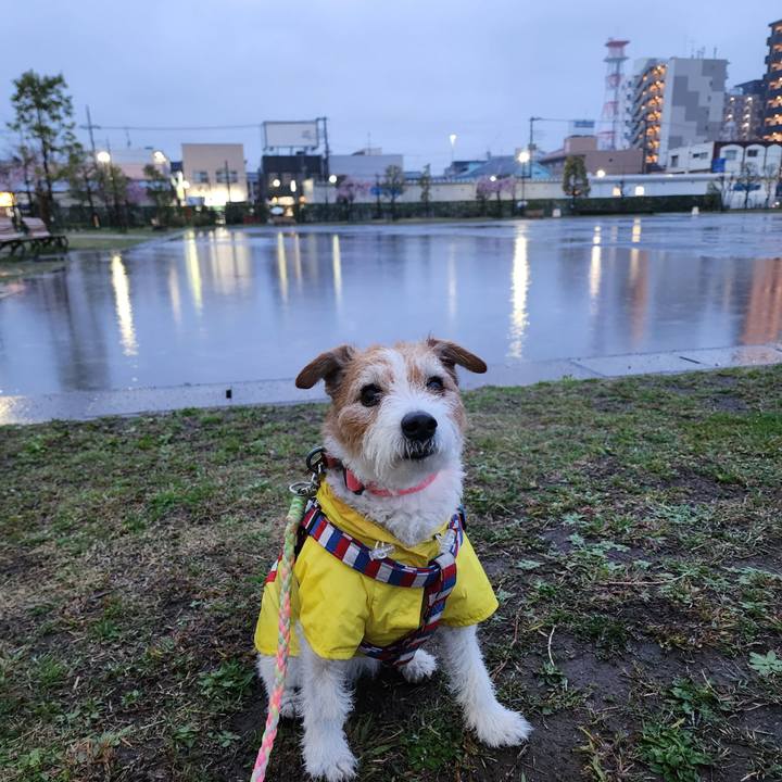 7d811244 0d02 4cb0 9005 aeb8dd3eac72 1743544523517