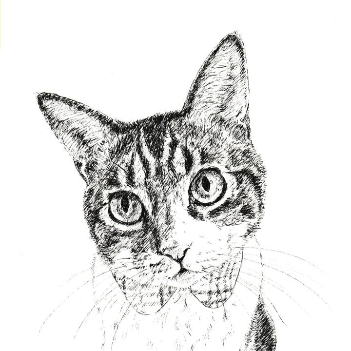 7d812b7f e135 43aa a8e1 fd67a5377a20 1614348570629