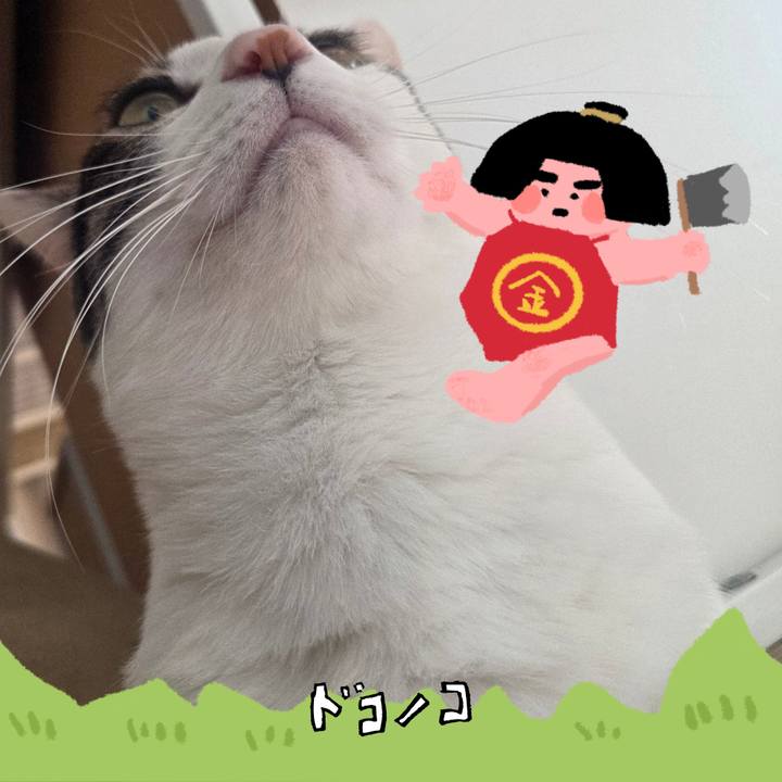 7d8141d2 3cc0 4c01 a130 973a52a940f5 1779579239883