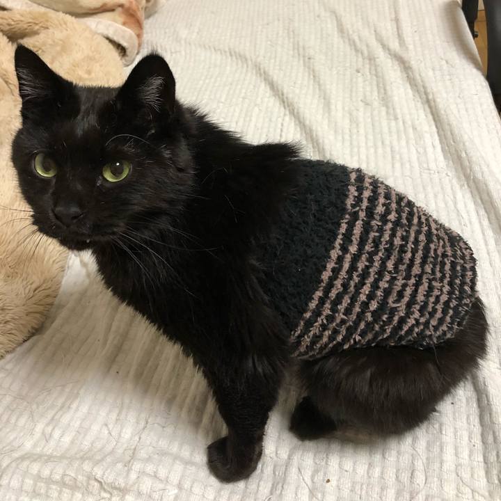 7d815c88 761b 4ad5 b4ed a71208bb850b 1637491205633