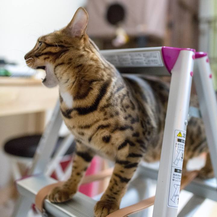 7d81651d 2b95 4ba5 88d9 9b323e056742 1520512771540