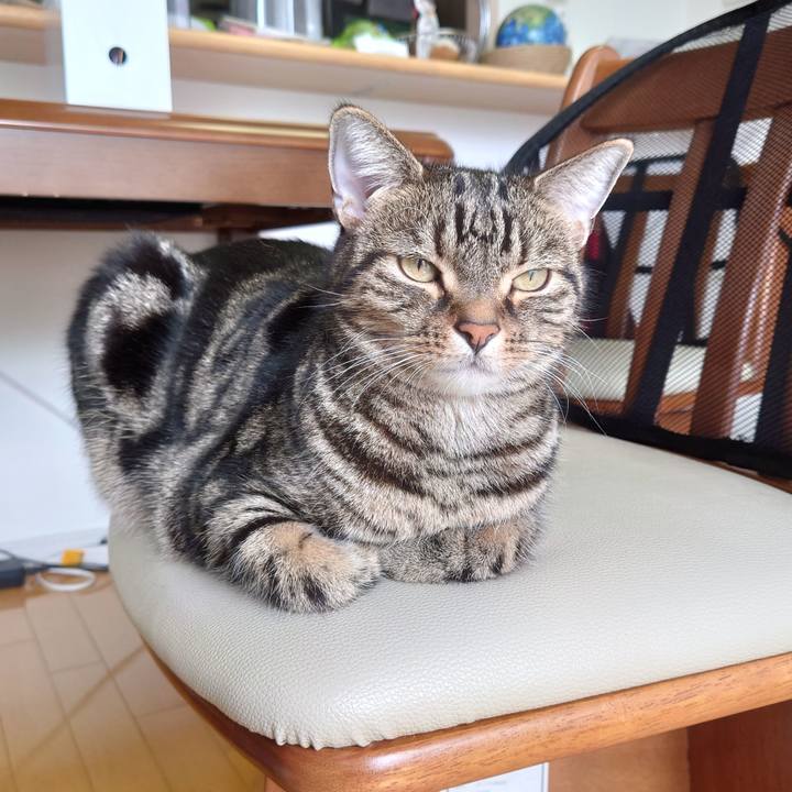 7d817866 5ca8 49c7 8b91 f827c70b3cdc 1634901722990