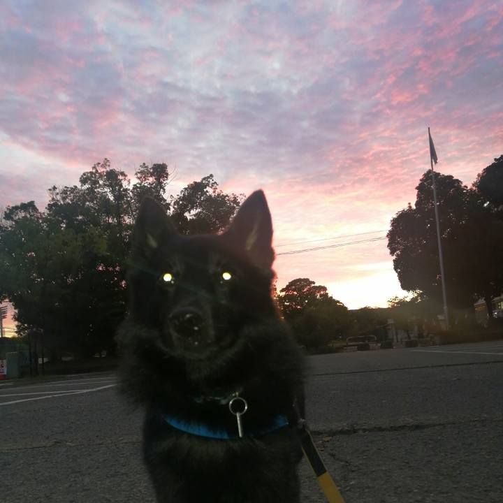 7d81ade1 82dc 47df 941c 7eb41cf83d99 1632776136392