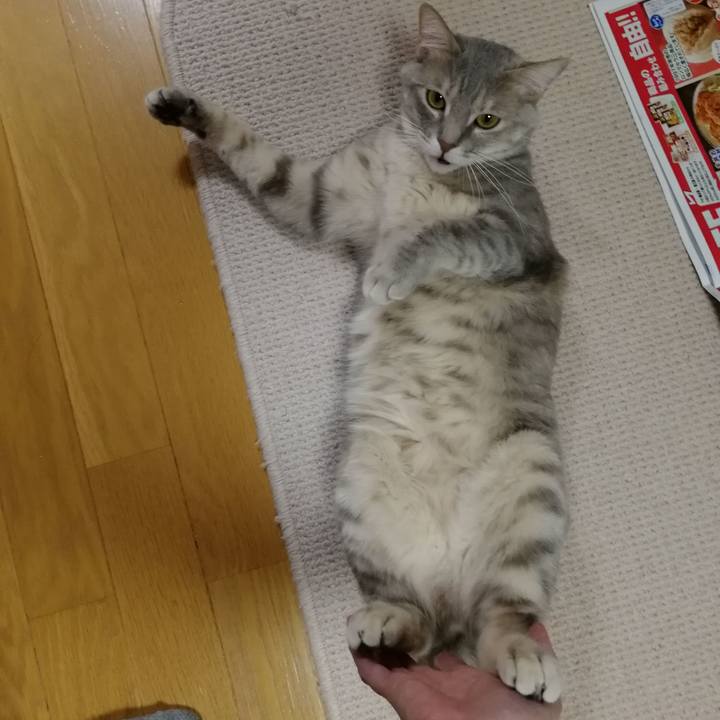 7d81d7a8 bfba 48db 8b2f 4babf223fa5a 1523274645669