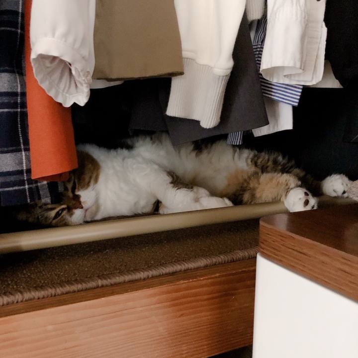 7d82051b 2301 4df4 95c5 c28157f390c1 1569744599514