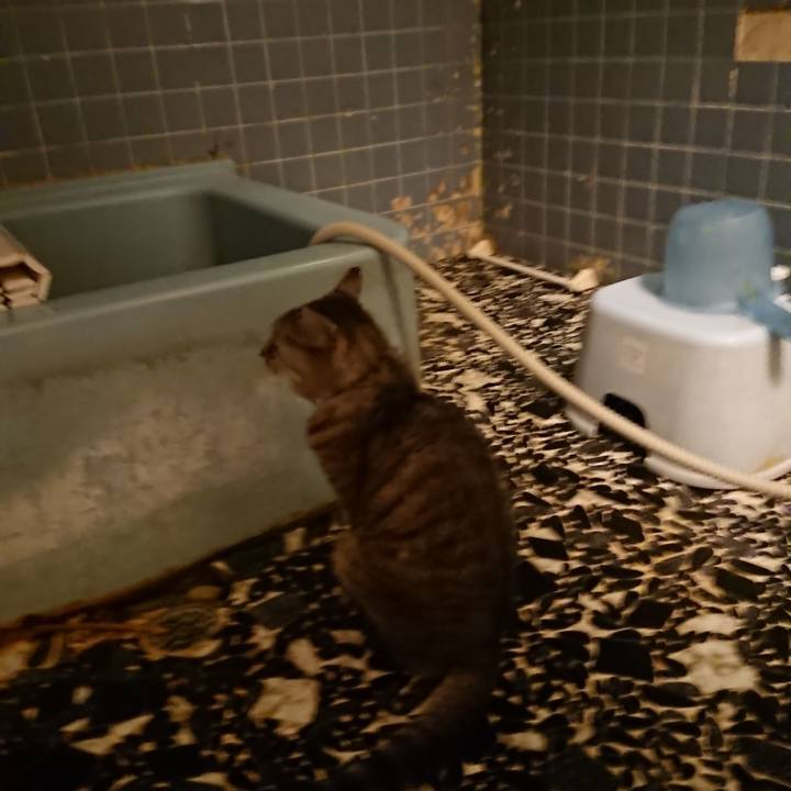 7d8226fa 1c6d 4671 a9b9 b02df7a5b785 1569664531511