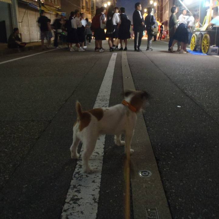 7d823d3e bc2b 4769 a891 14cb85d06f08 1529491678338