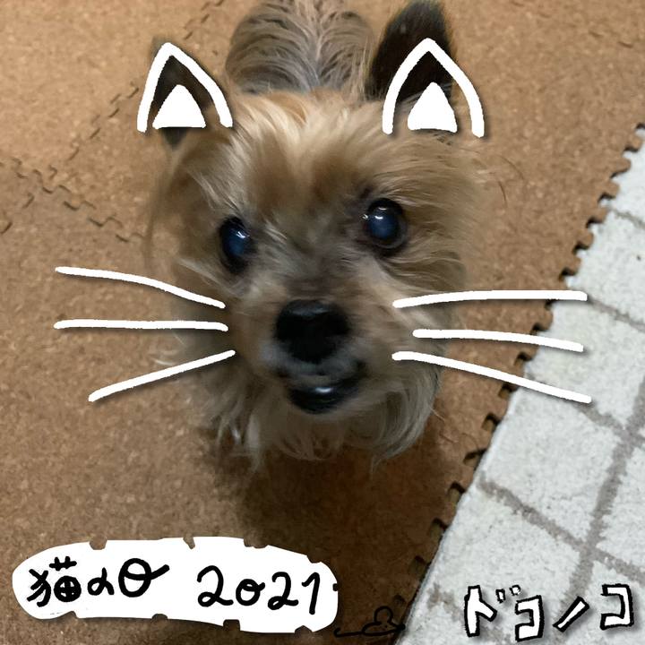 7d8247f7 43ac 4571 889c 10f1e6fedcda 1613992194944