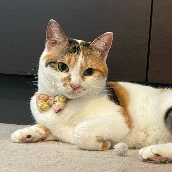 7d825658 f5bc 4fd3 b439 6945cdf75c78 1631233446166