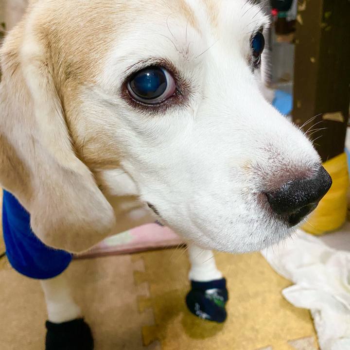 7d8263fc 68ed 488b 8f28 68f651b6fa21 1622089222576