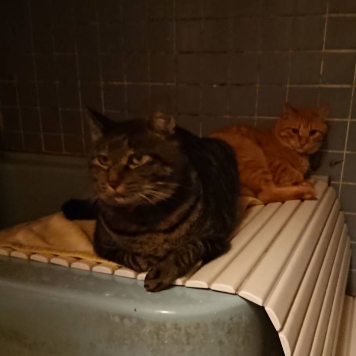 7d826df1 dbad 4519 b020 724db46be57c 1661853492581