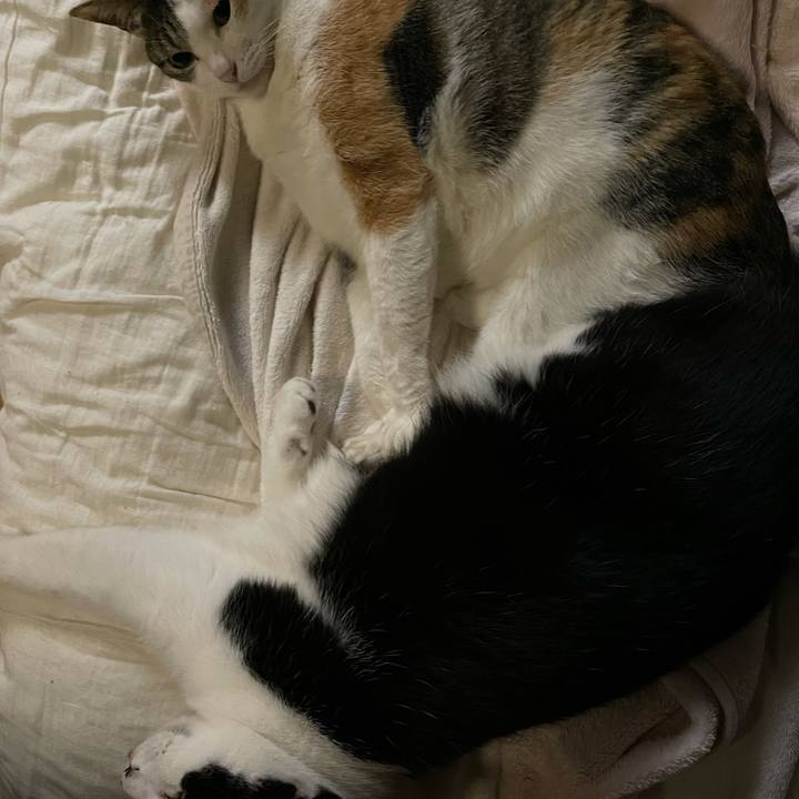 7d8296fc 4b8d 488a 99fa bfb097af4860 1636121199243