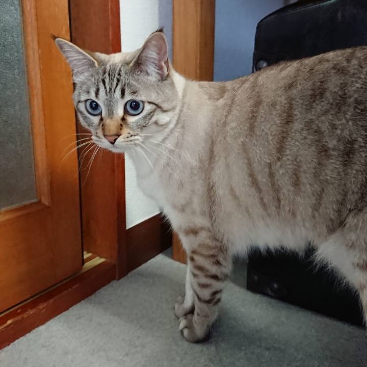 7d82a5d7 fac4 490f b71d 5a43cc4f60dc 1521152926663