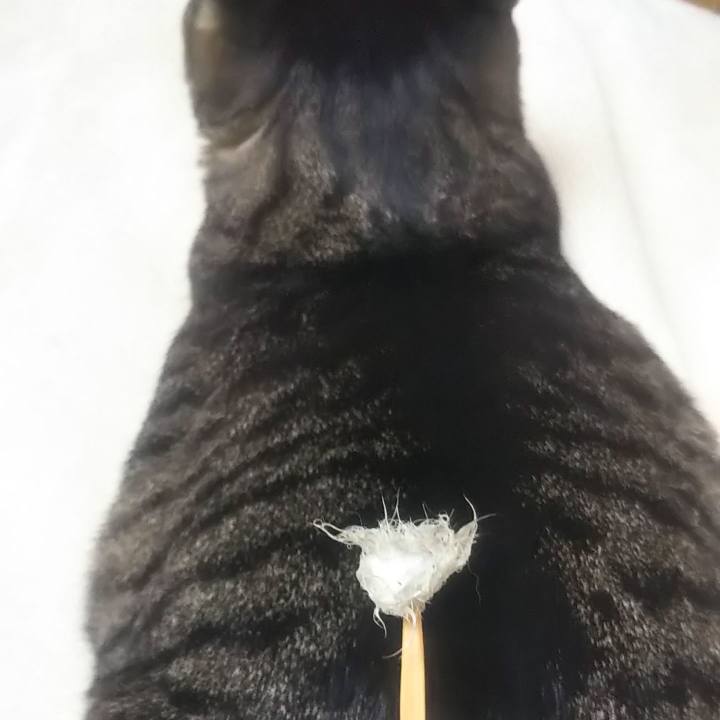 7d82abbe 8576 40d2 871d 56b4ee704618 1635776478008