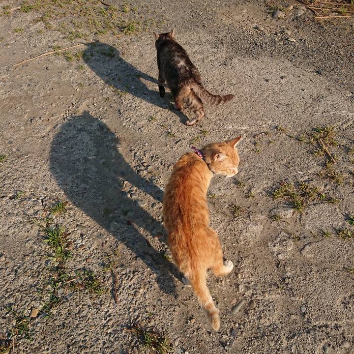 7d82da45 9a26 4802 926b 12c60389669e 1558661812961