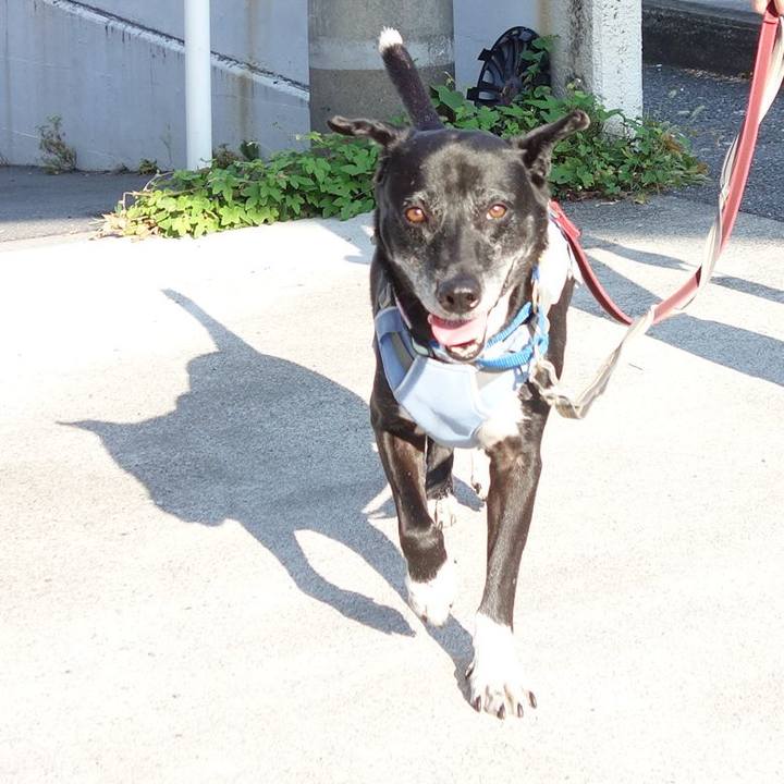 7d831fea a940 4813 9ed9 d4031715f072 1753659938038