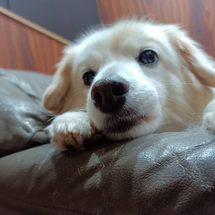 7d83205f f12b 4b87 8501 e39c7f5112e3 1674514526769